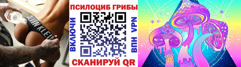 MEGA зеркало  Углегорск  Псилоцибиновые грибы Cubensis 